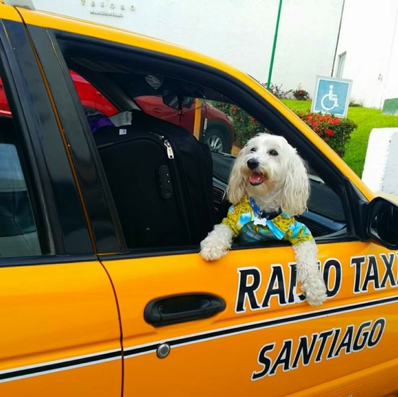 Share 20 ๐ปSharing is Caring๐ป - Picture 12 of 16